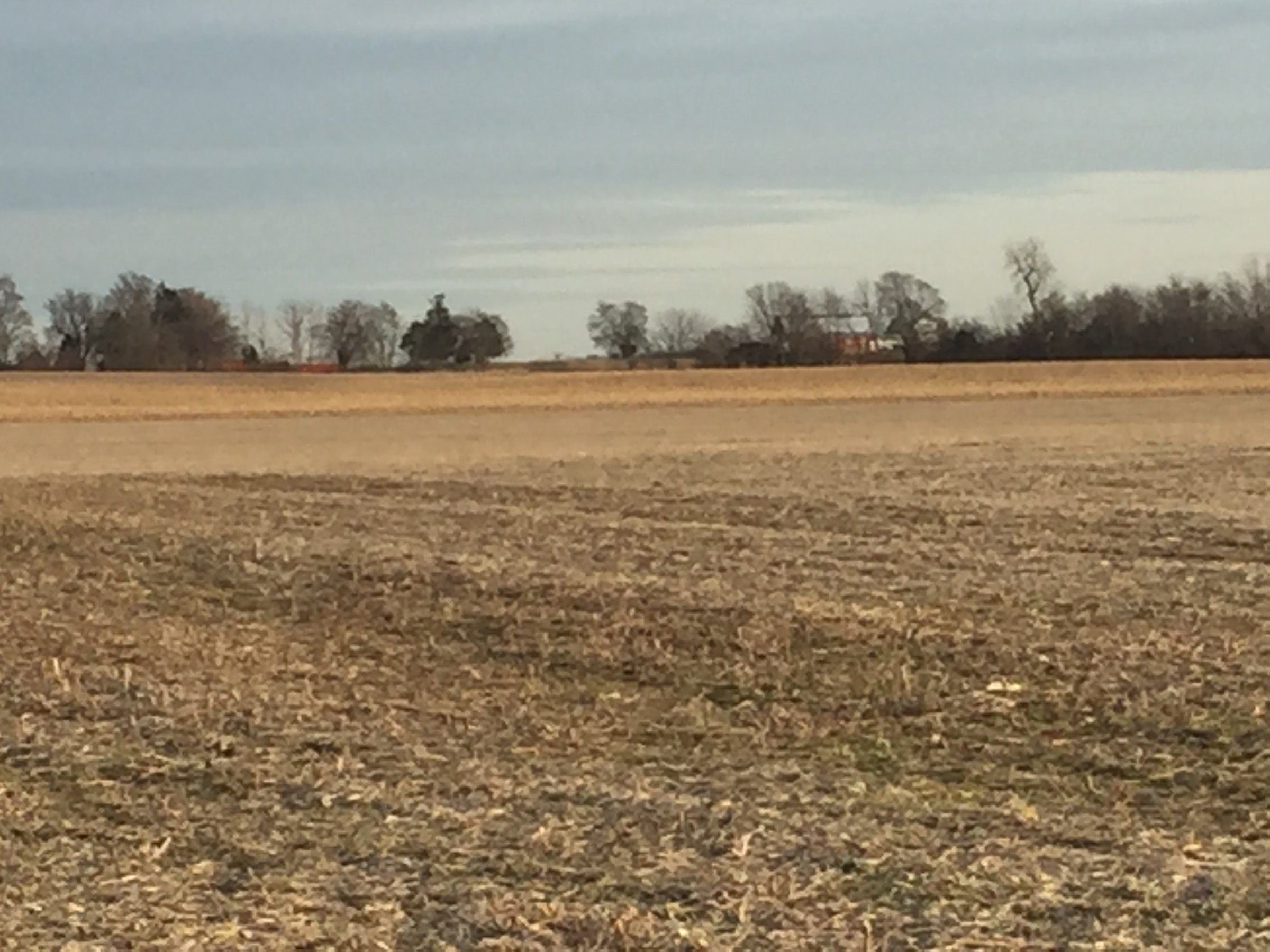 Property photo 22 - PRIME OHIO FARM AUCTION - 198+/- ACRES IN 4 TRACTS IN PREBLE COUNTY, OHIO
